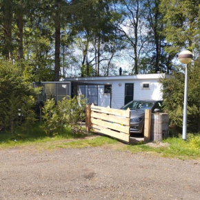 Chalet met veel privacy in bosrijke omgeving